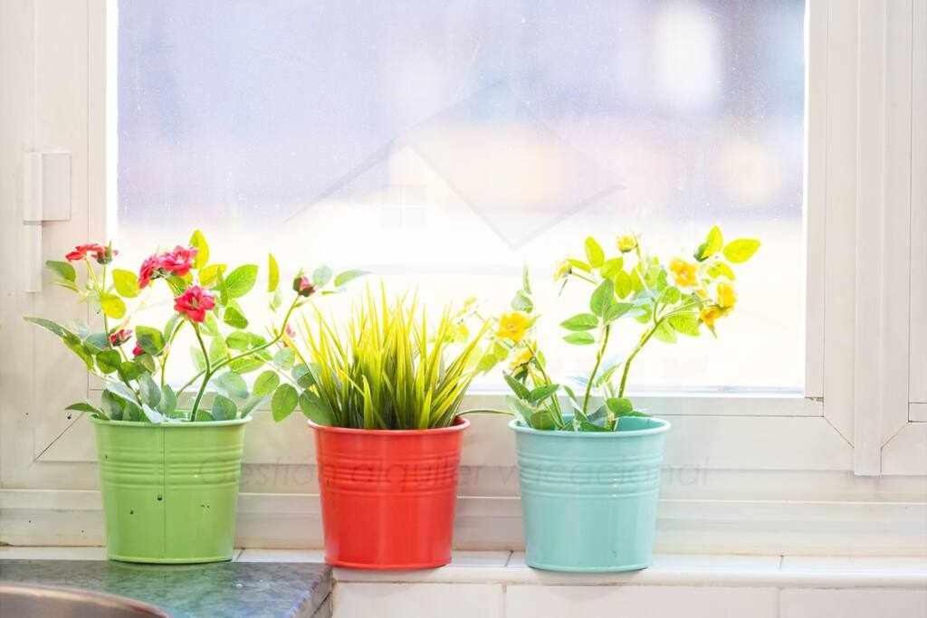 אוביידו Colours Apartamento מראה חיצוני תמונה